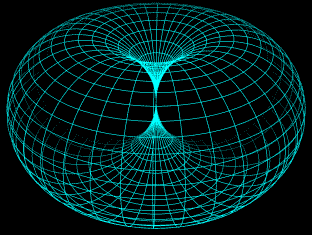 Animated_torus